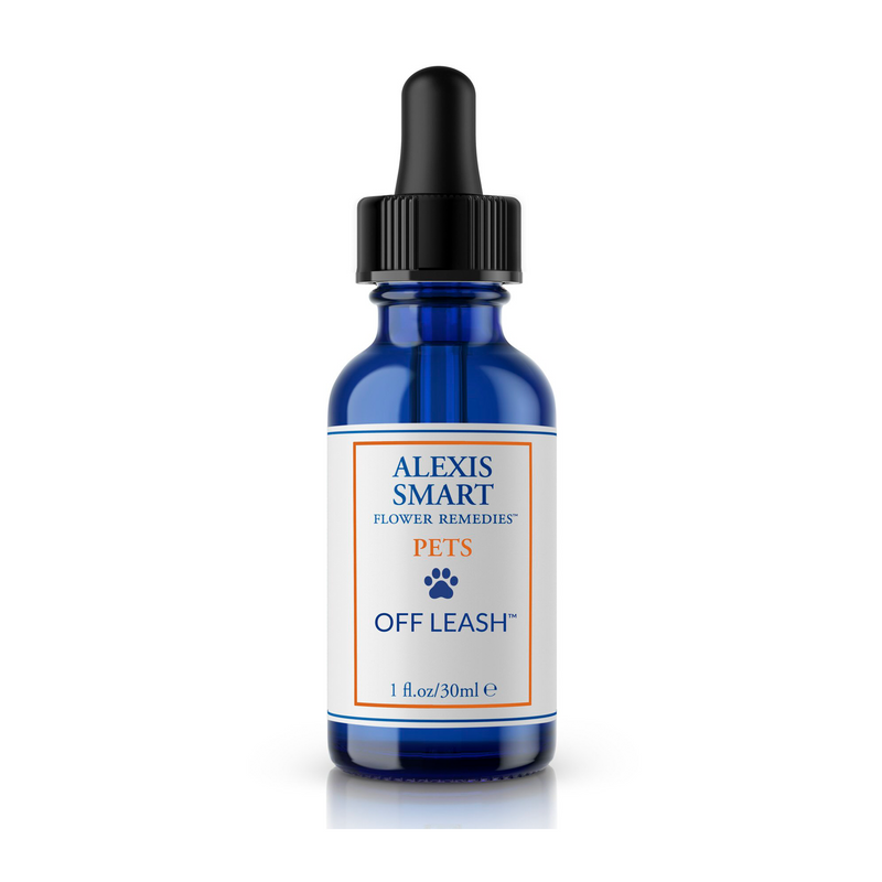 A 30 ml bottle of flower remedy made for aggresion in pets, designed to make them friendlier.