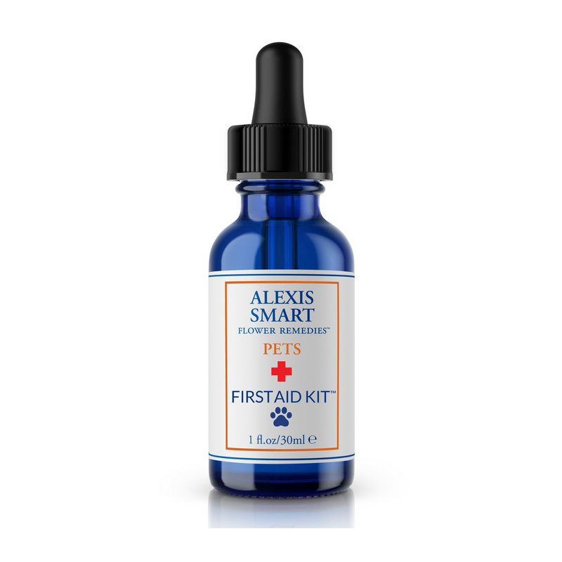 A 30 ml bottle of flower remedy made for pets, specially to heal trauma and injuries.