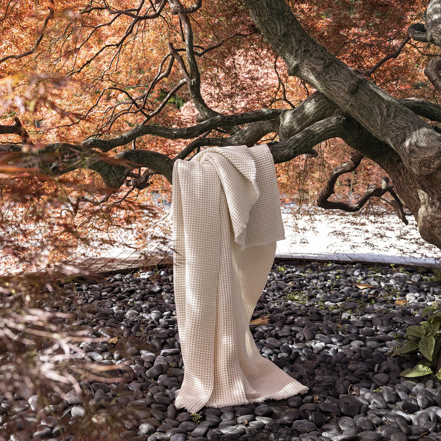 Sasha Cashmere Throw - Ivory