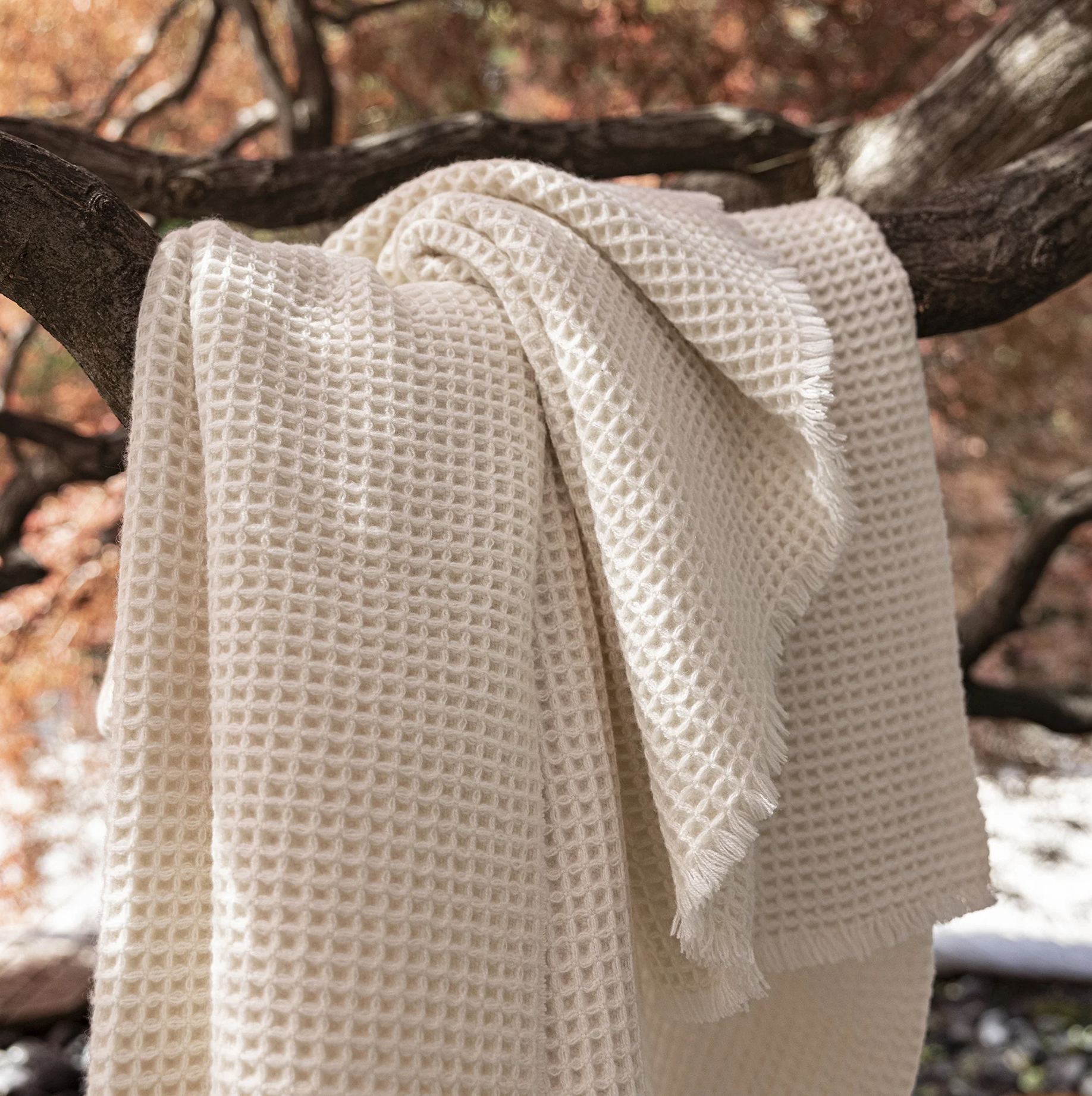 Sasha Cashmere Throw - Ivory