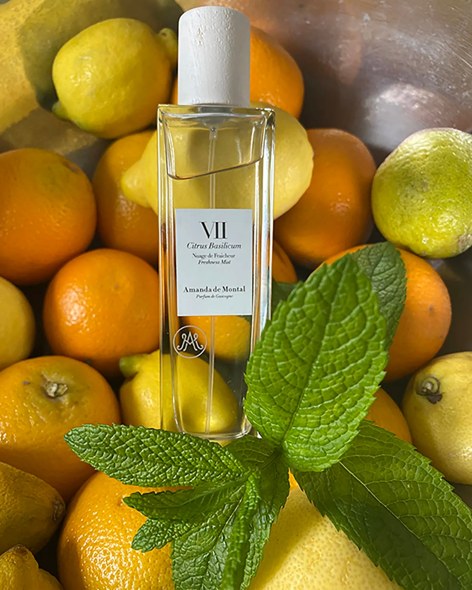 VII Citrus Basilicum Mist