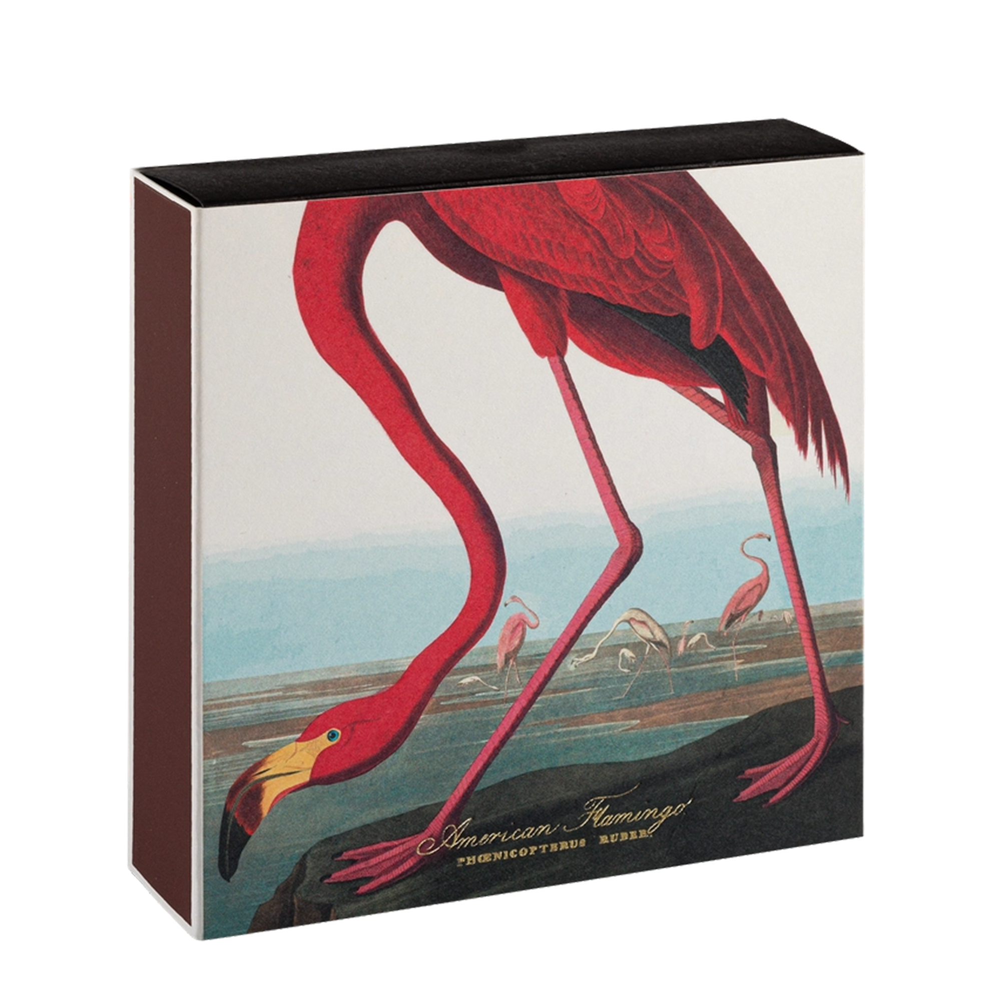 American Flamingo Matches