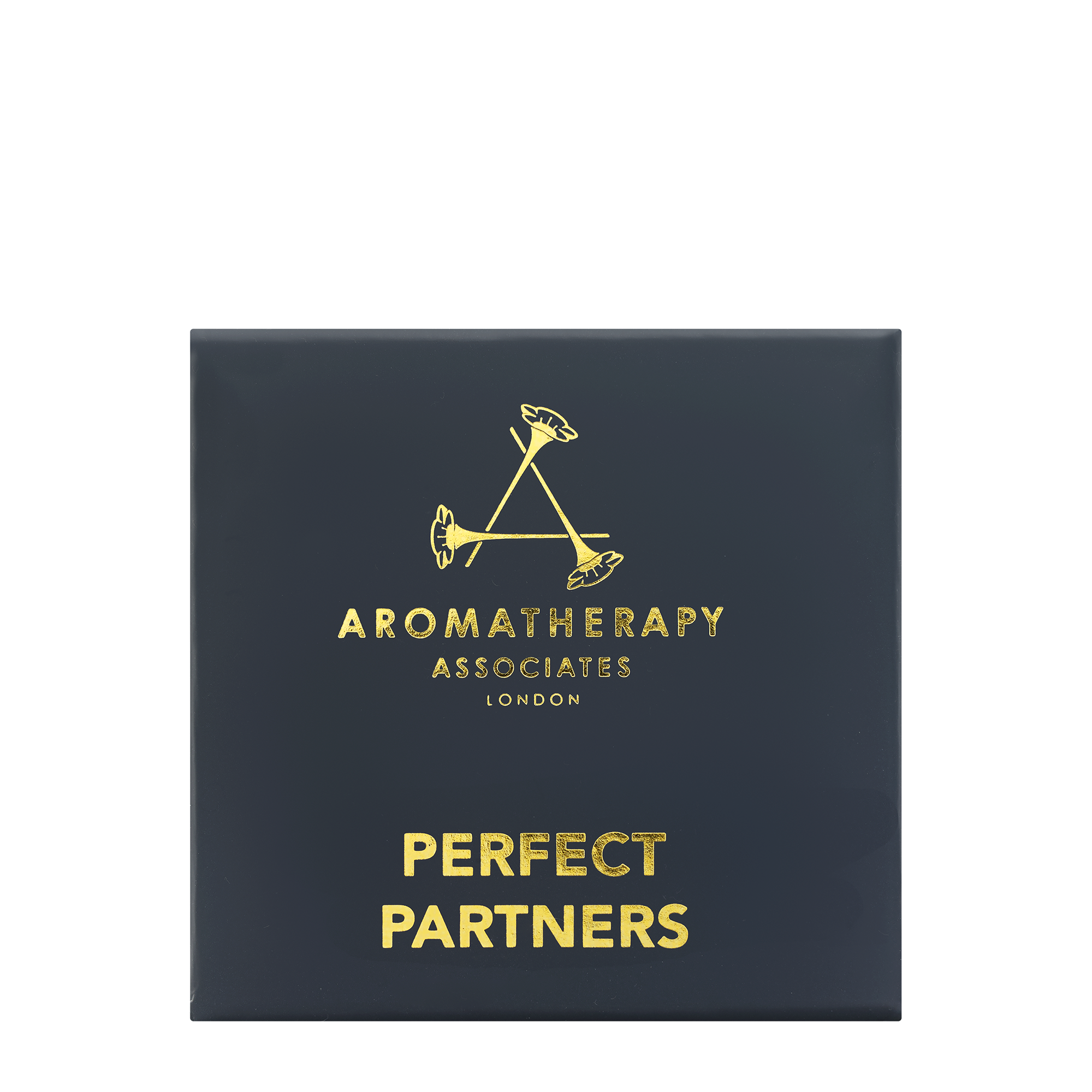 Perfect Partners elegant box in dark blue and golden letters makes it a lovely small gift.