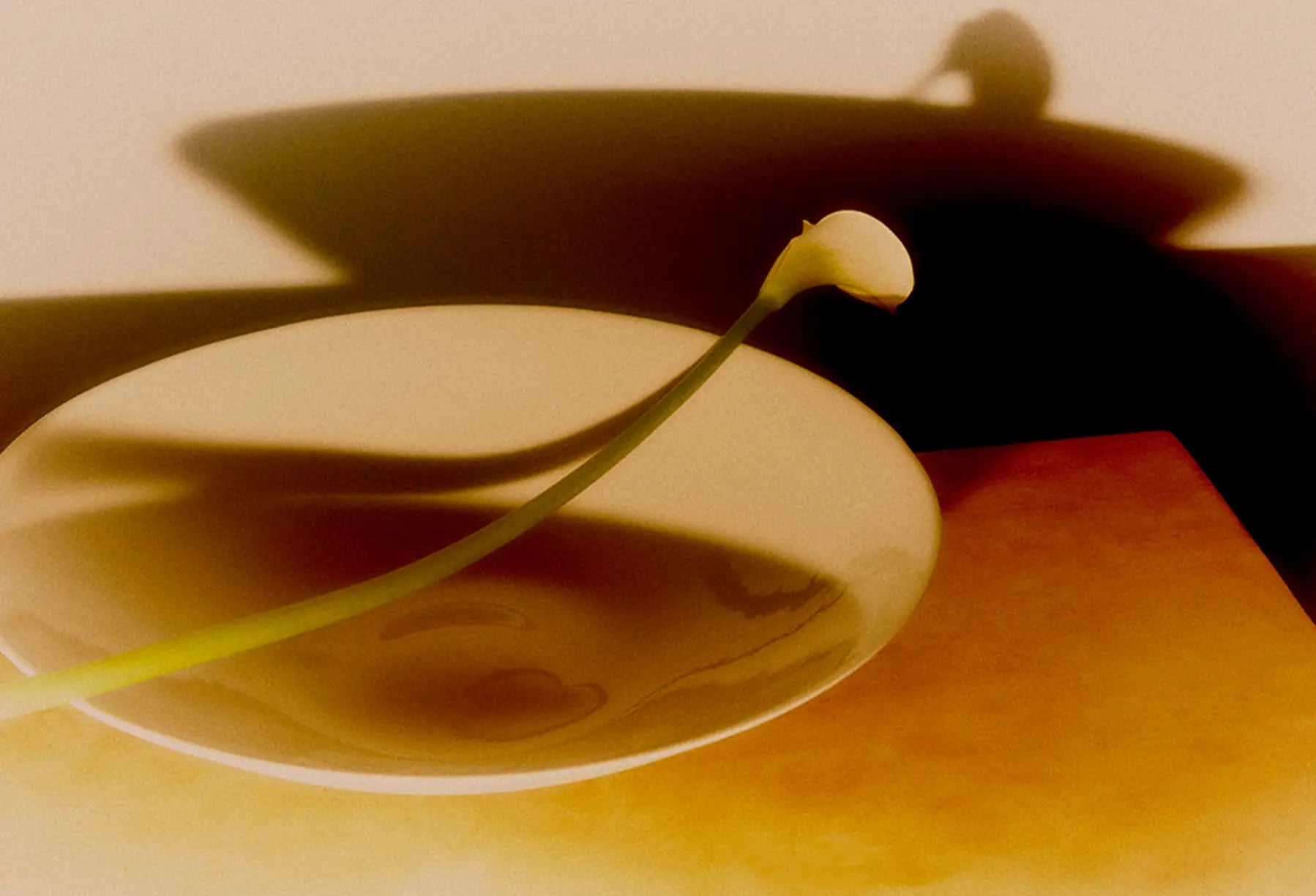 Nest Bowl - Mist