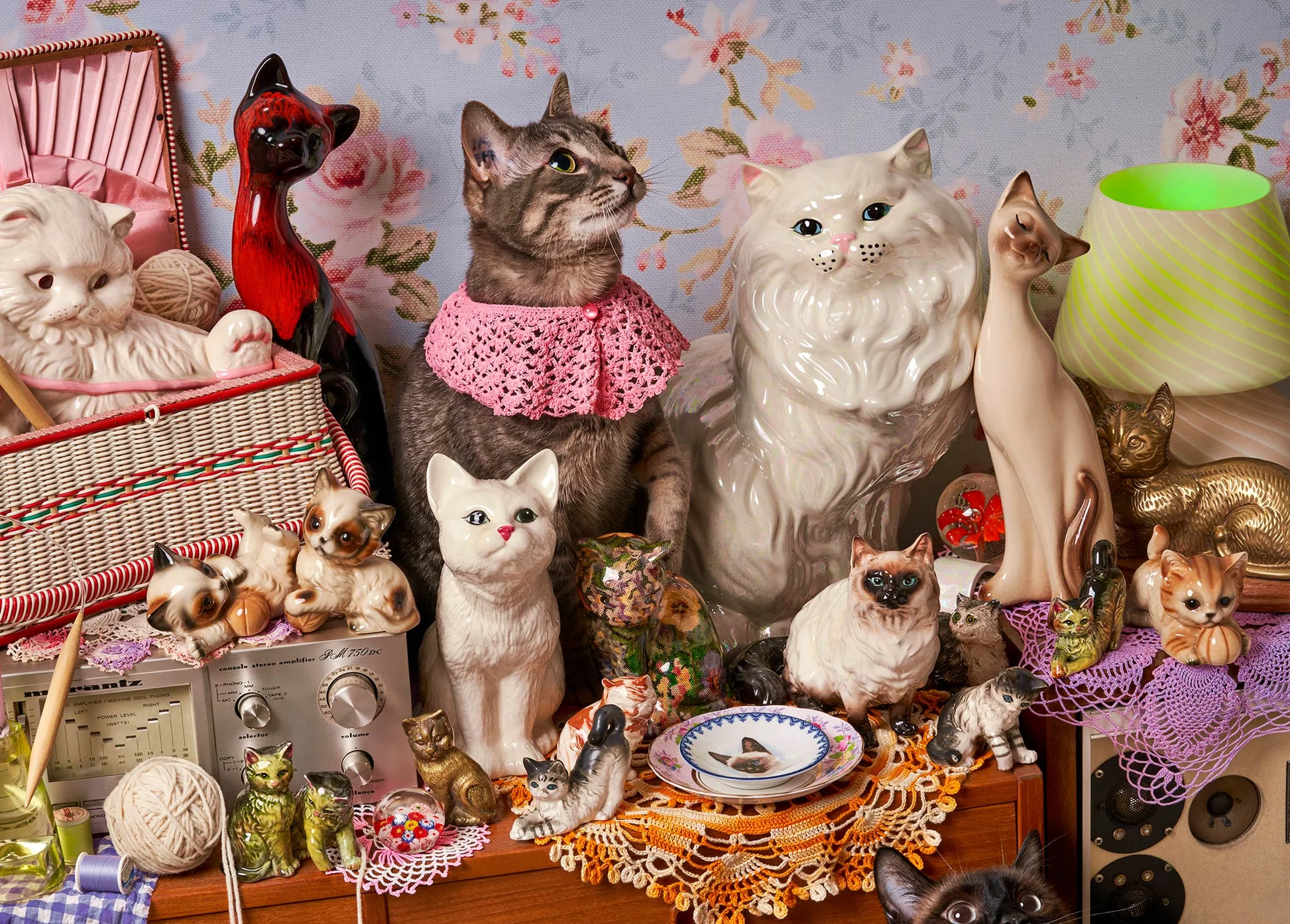 1000 Piece Puzzle - Cat Person