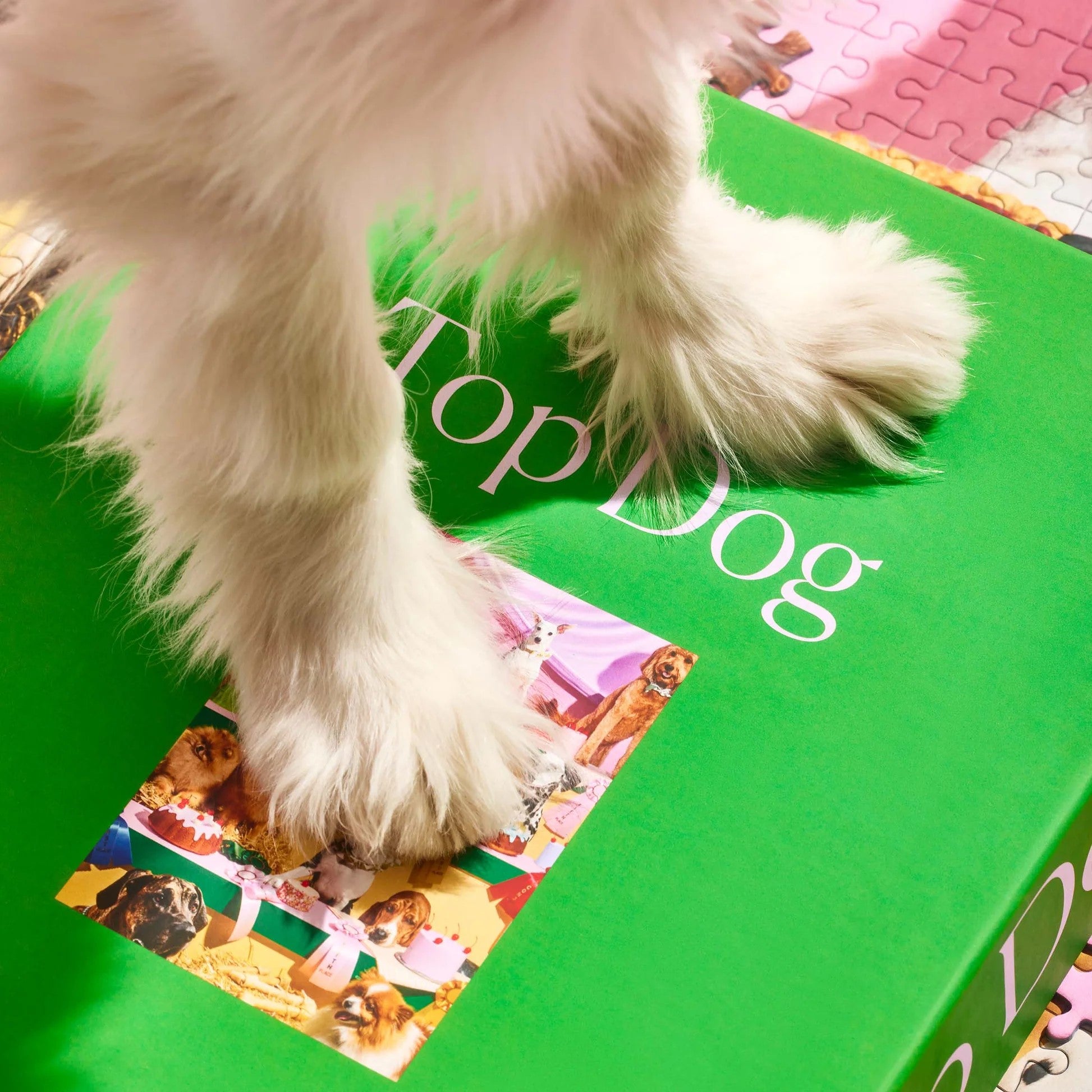 1000 Piece Puzzle - Top Dog