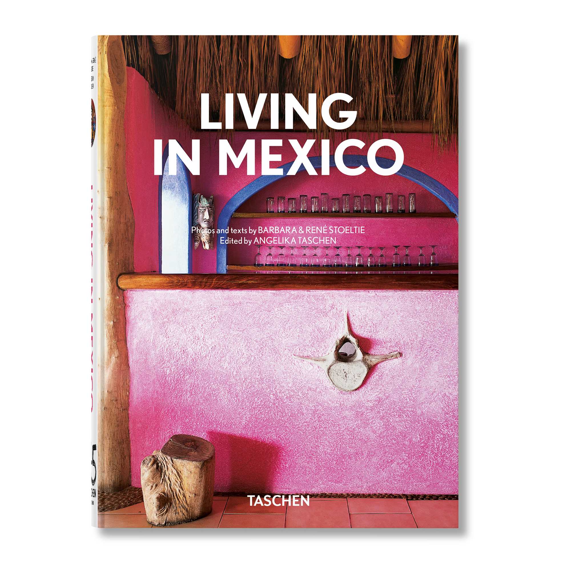 Living in Mexico