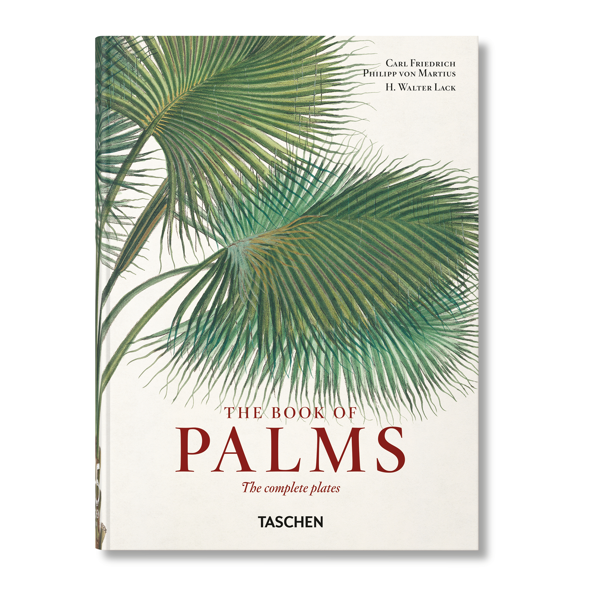 Martius. The Book of Palms