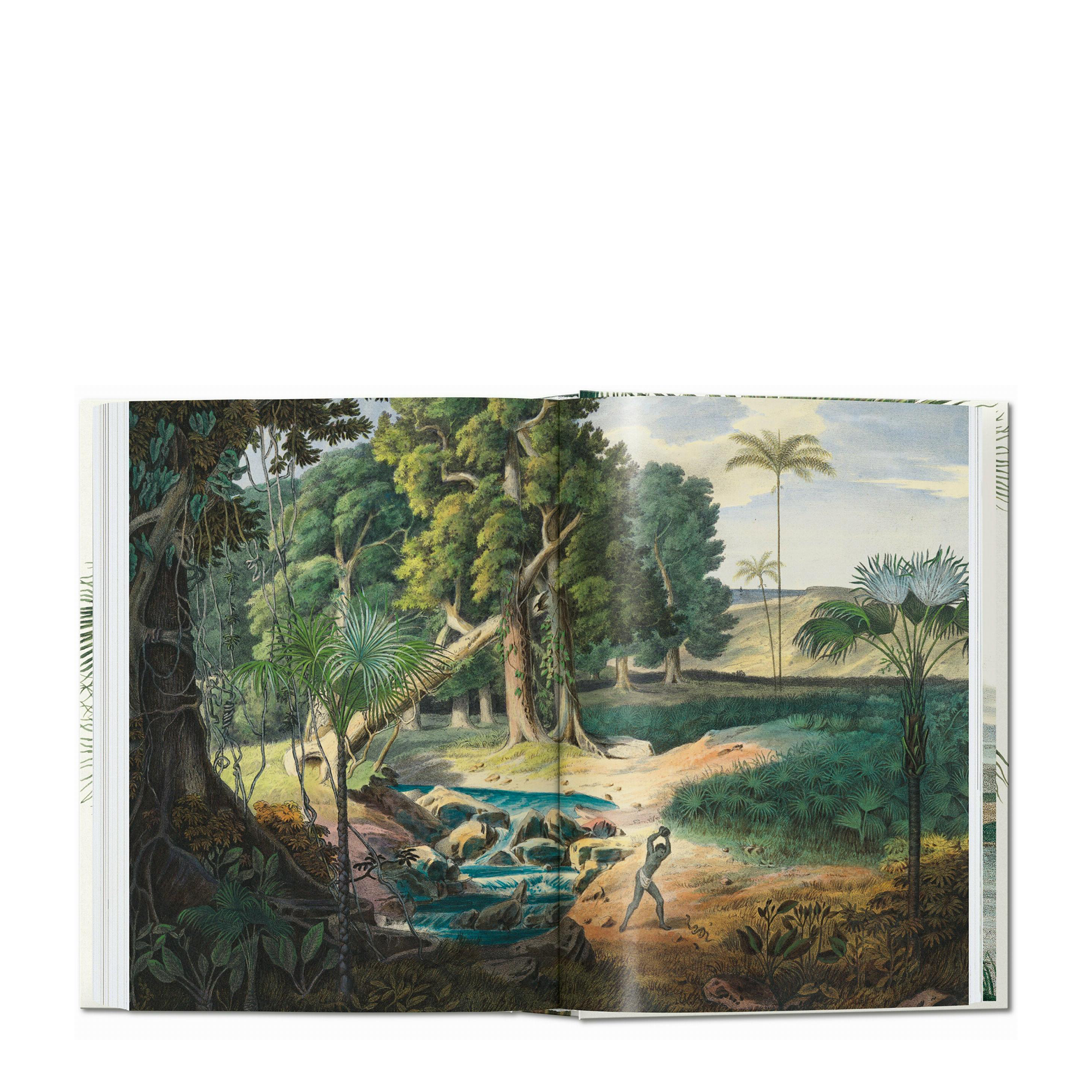 Martius. The Book of Palms