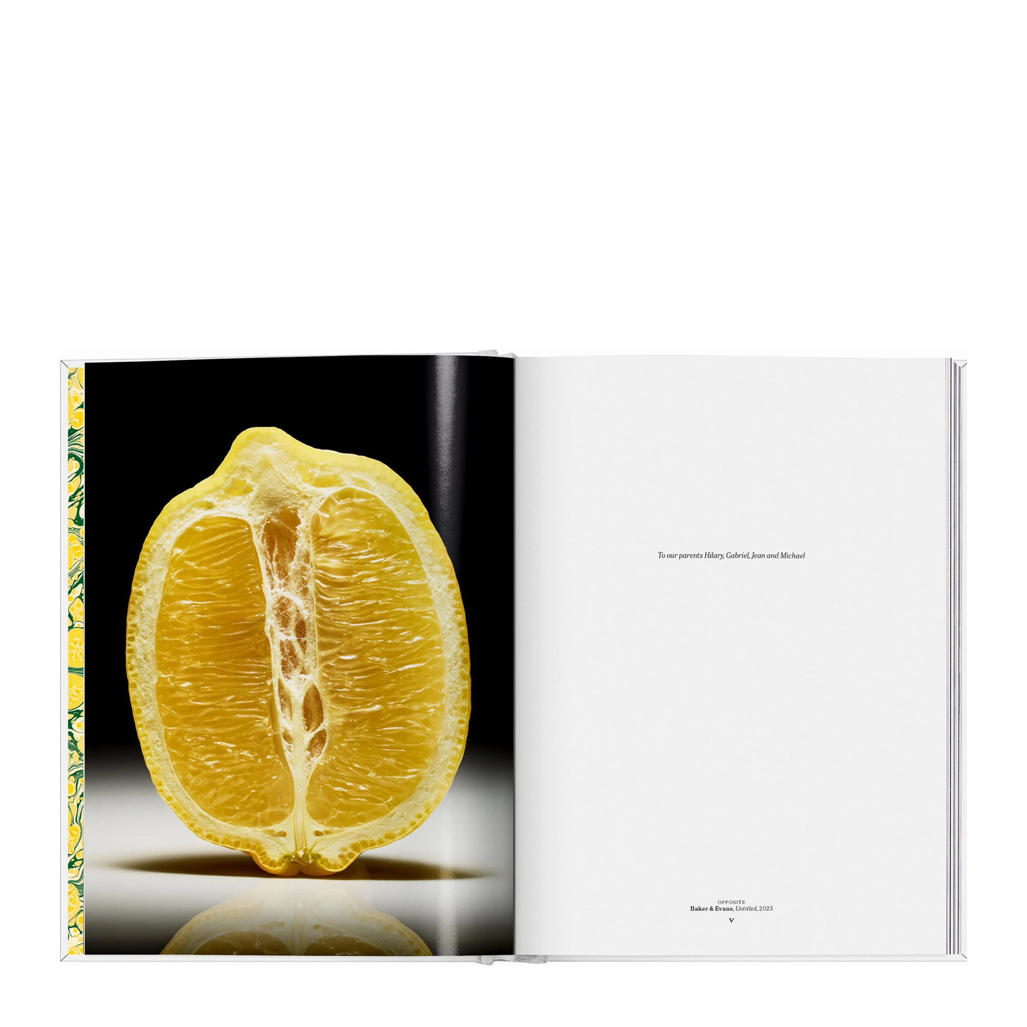The Gourmand's Lemon: A Collection of Stories and Recipes