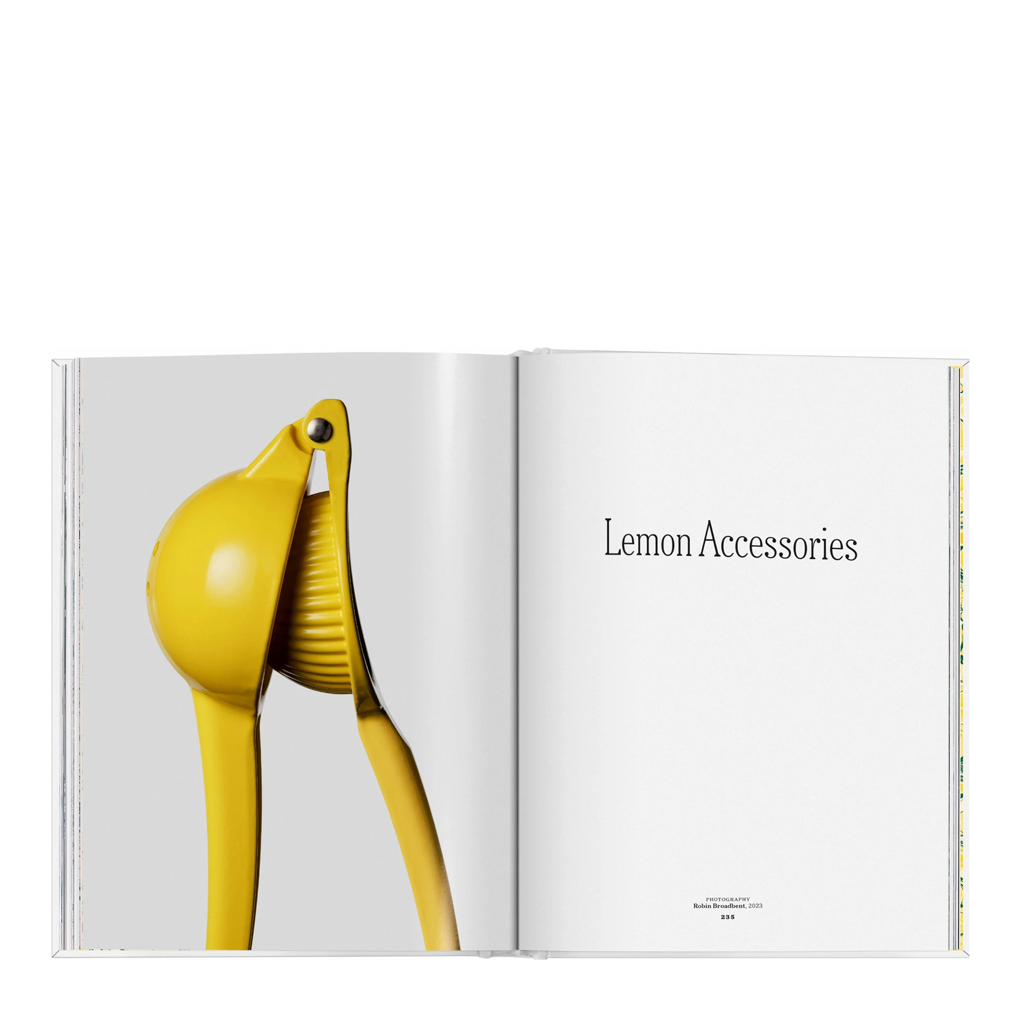 The Gourmand's Lemon: A Collection of Stories and Recipes