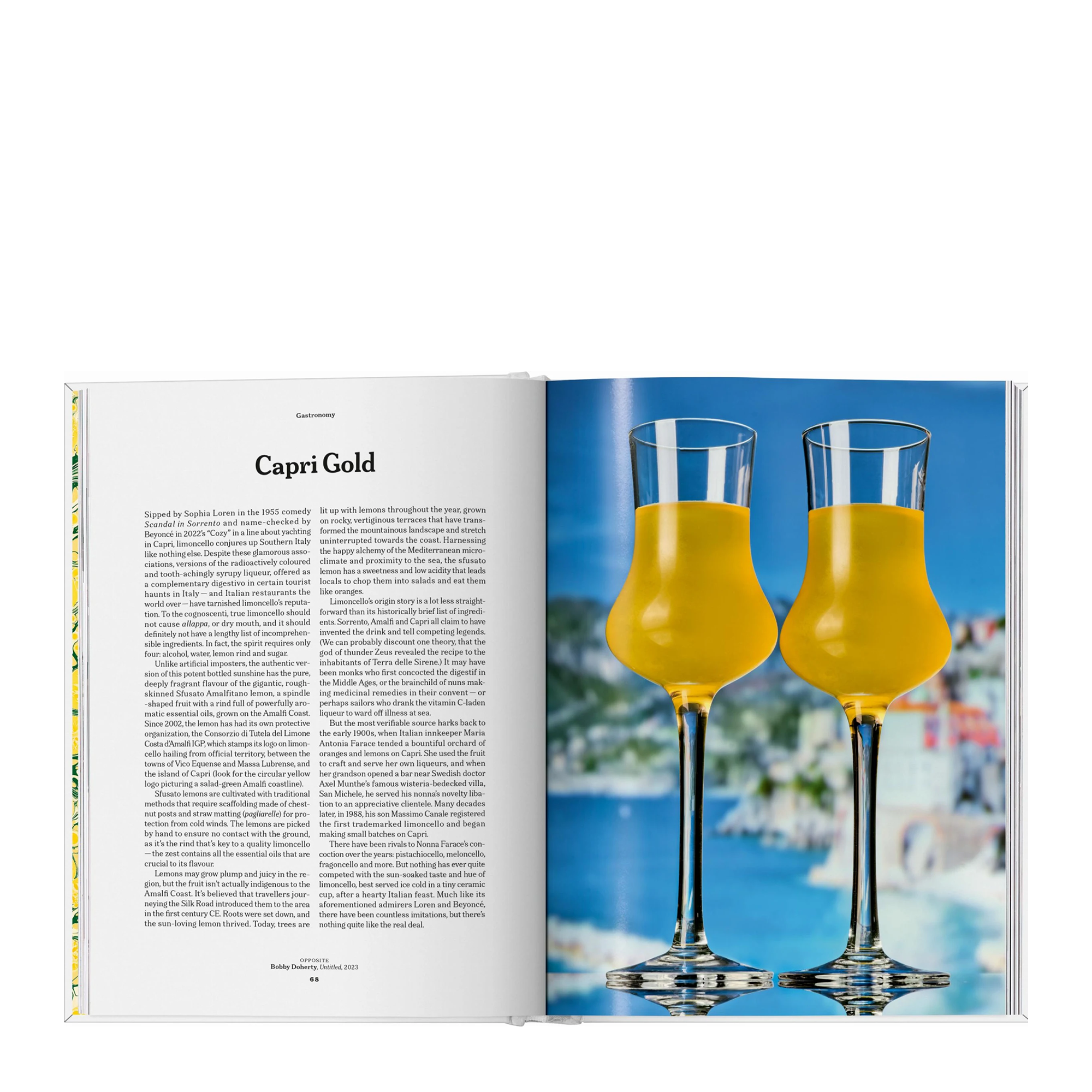 The Gourmand's Lemon: A Collection of Stories and Recipes