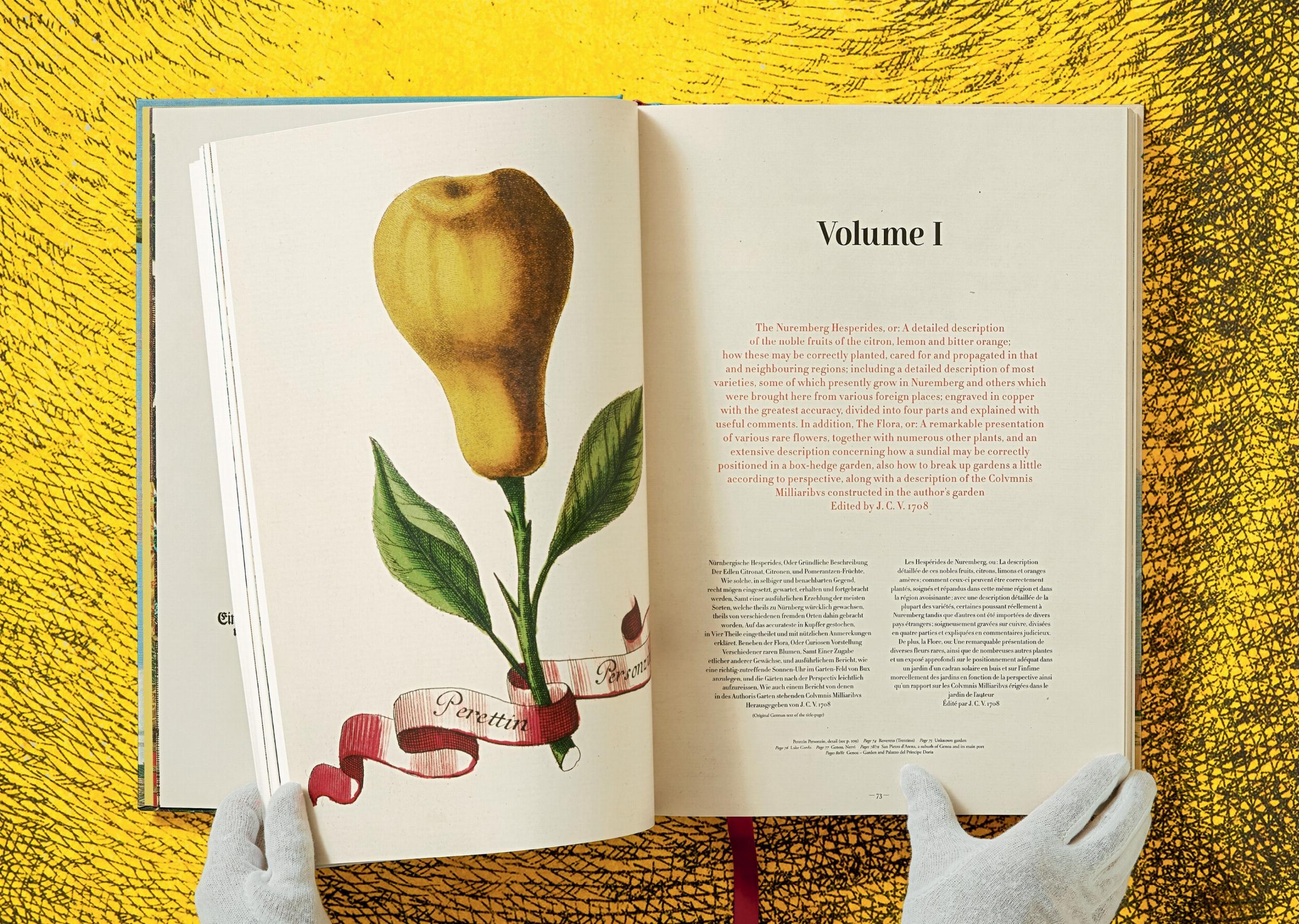 The Book of Citrus Fruits J. C. Volkamer