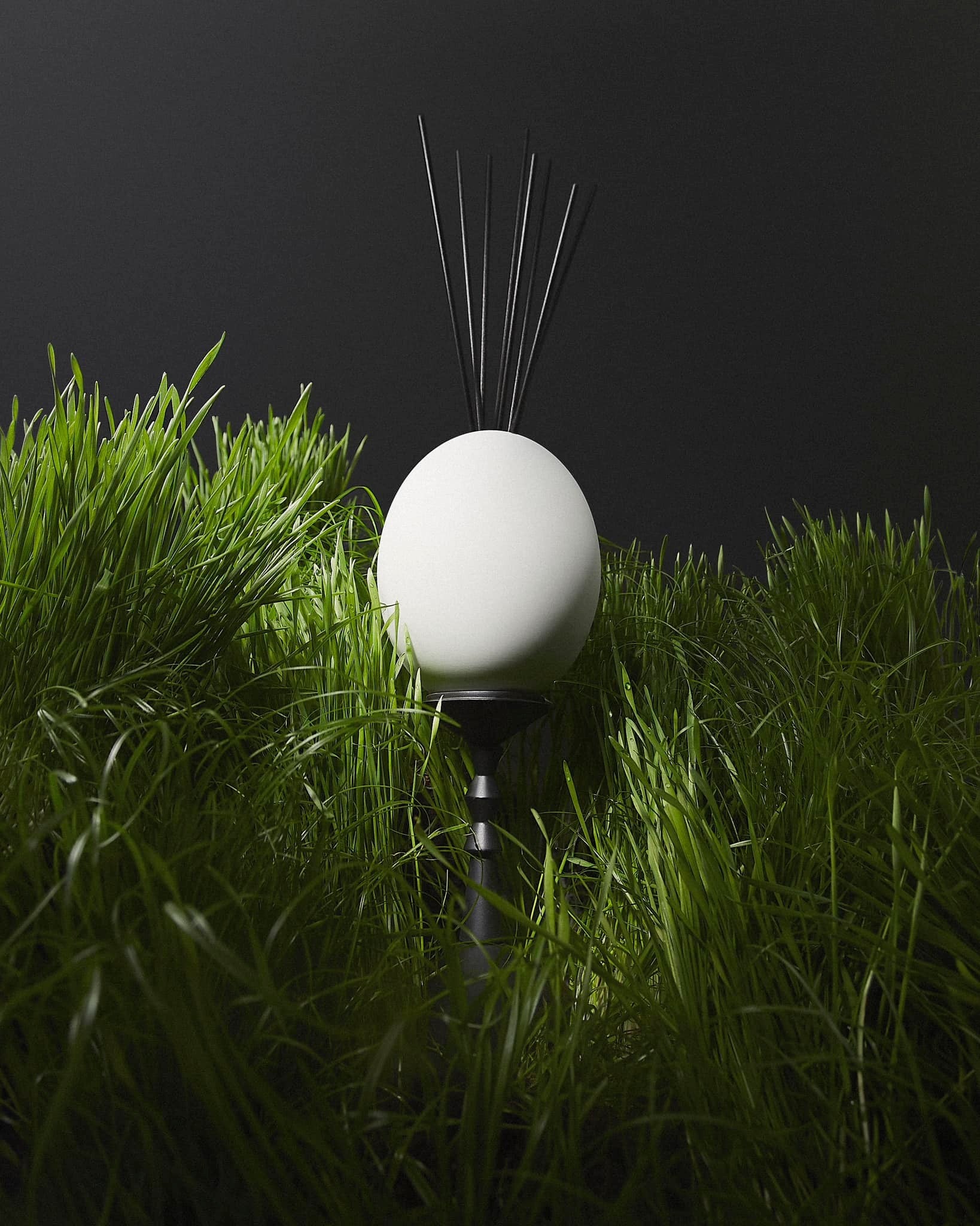 L’œuf Diffuser - Cyrnos