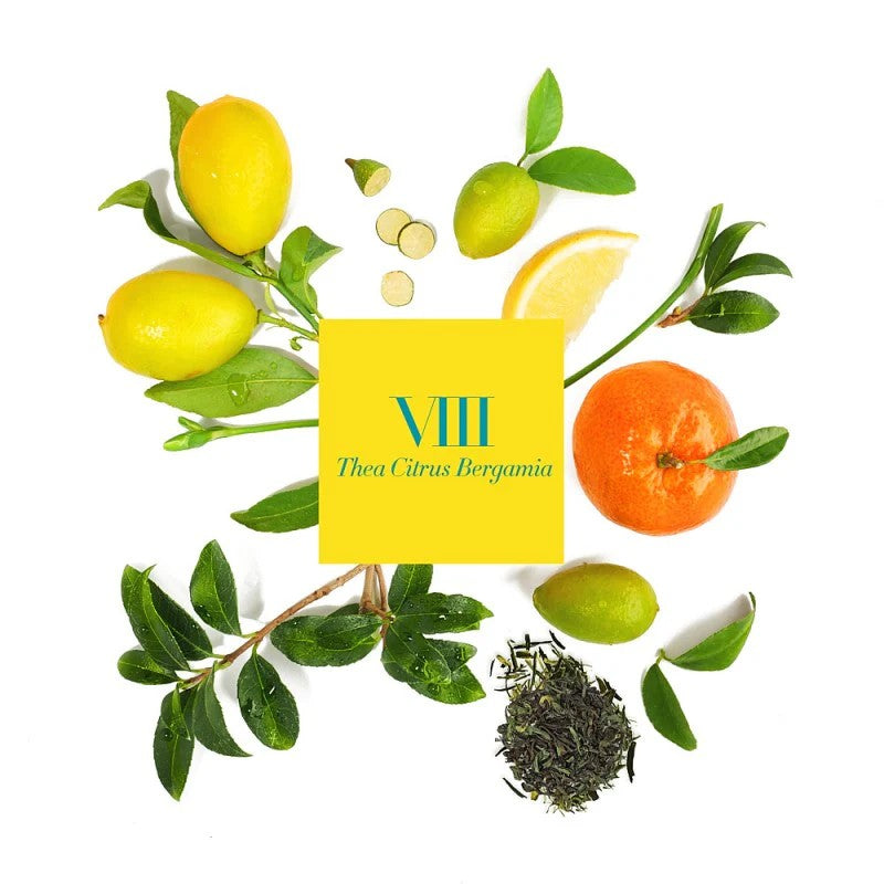 Candle Refill - Thea Citrus Bergamia (VIII)