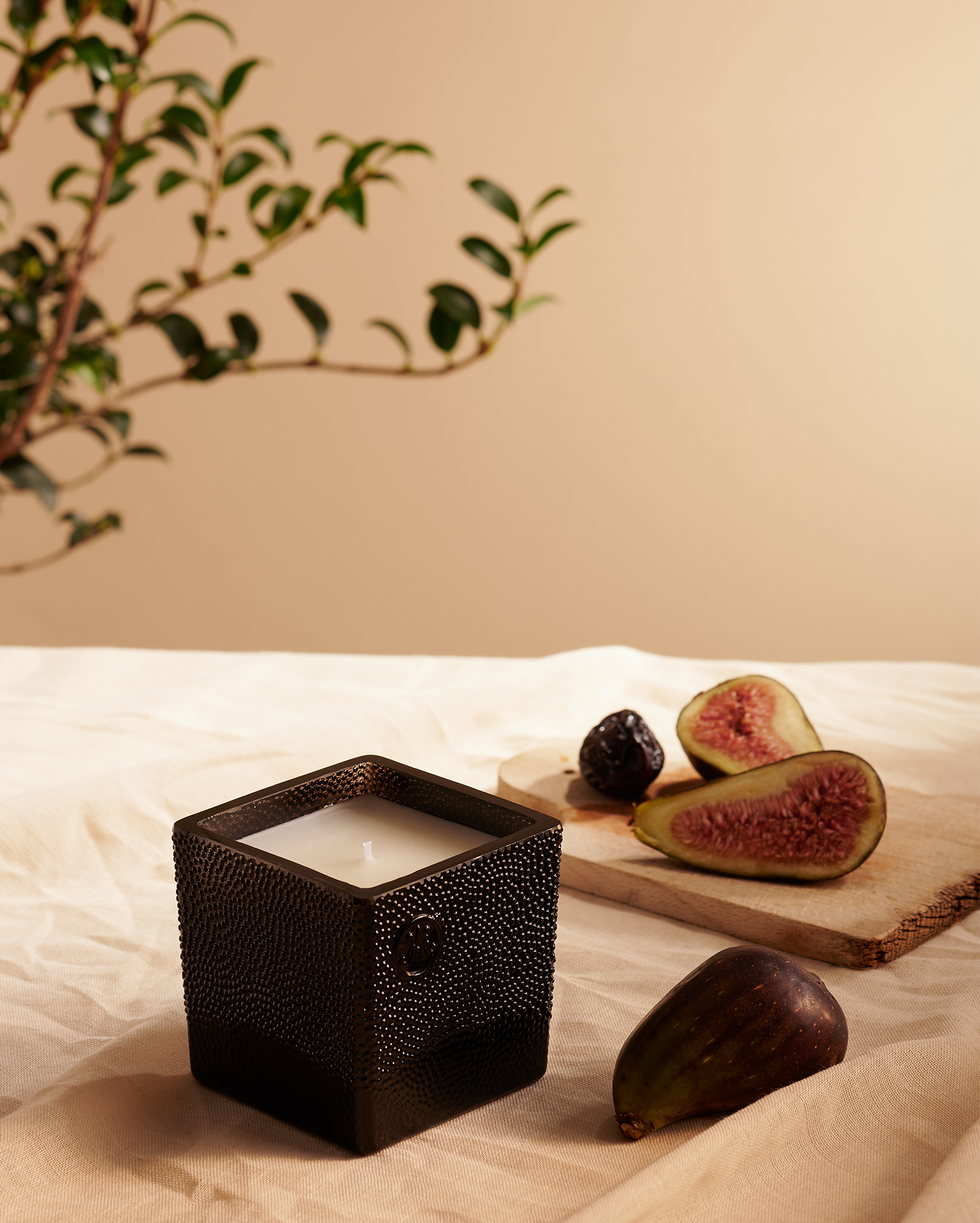 Candle - Fructus Vasconia Voluptas (I)