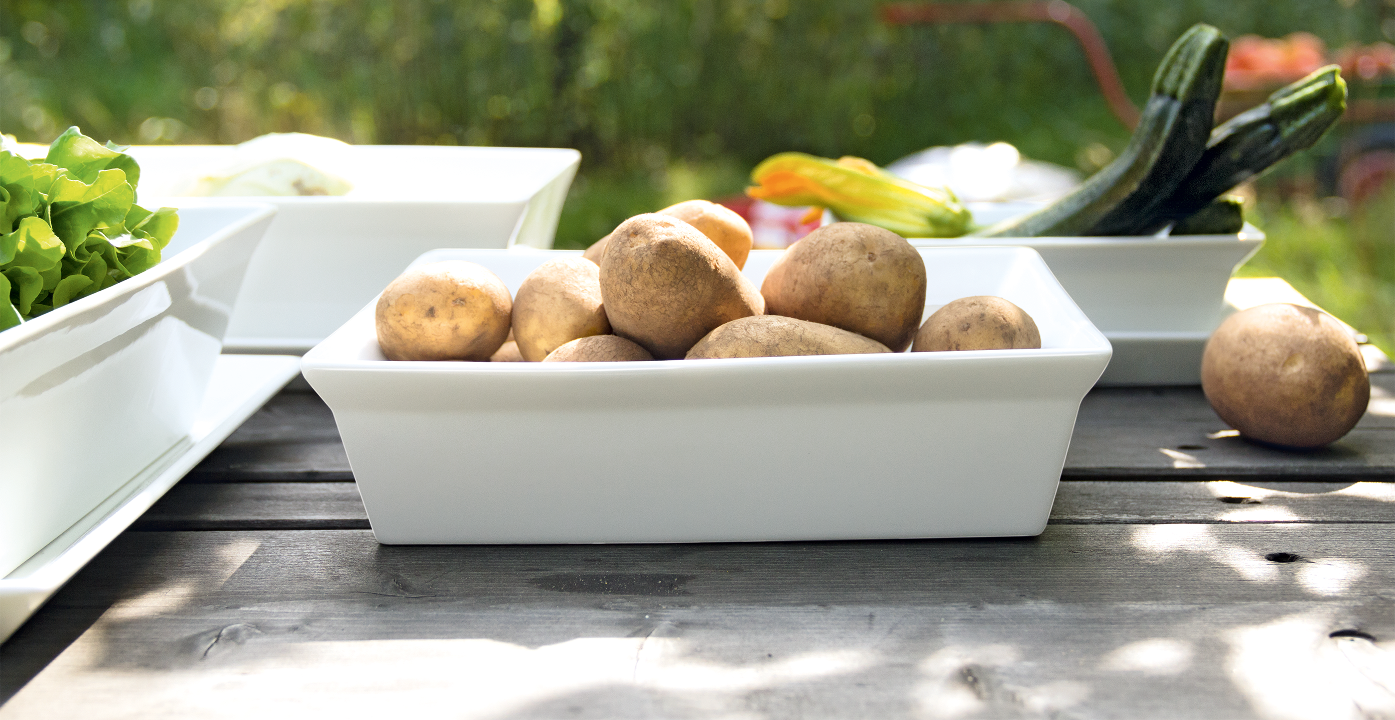 250°C/485°F Porcelain Square Gratin Dish