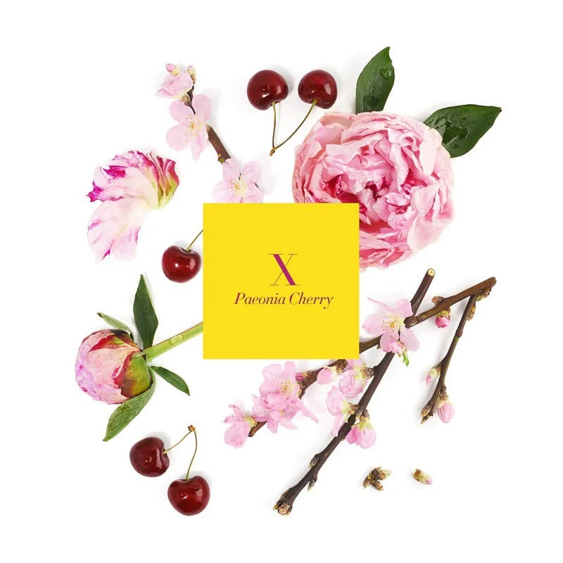 Candle Refill - Paeonia Cherry (X)