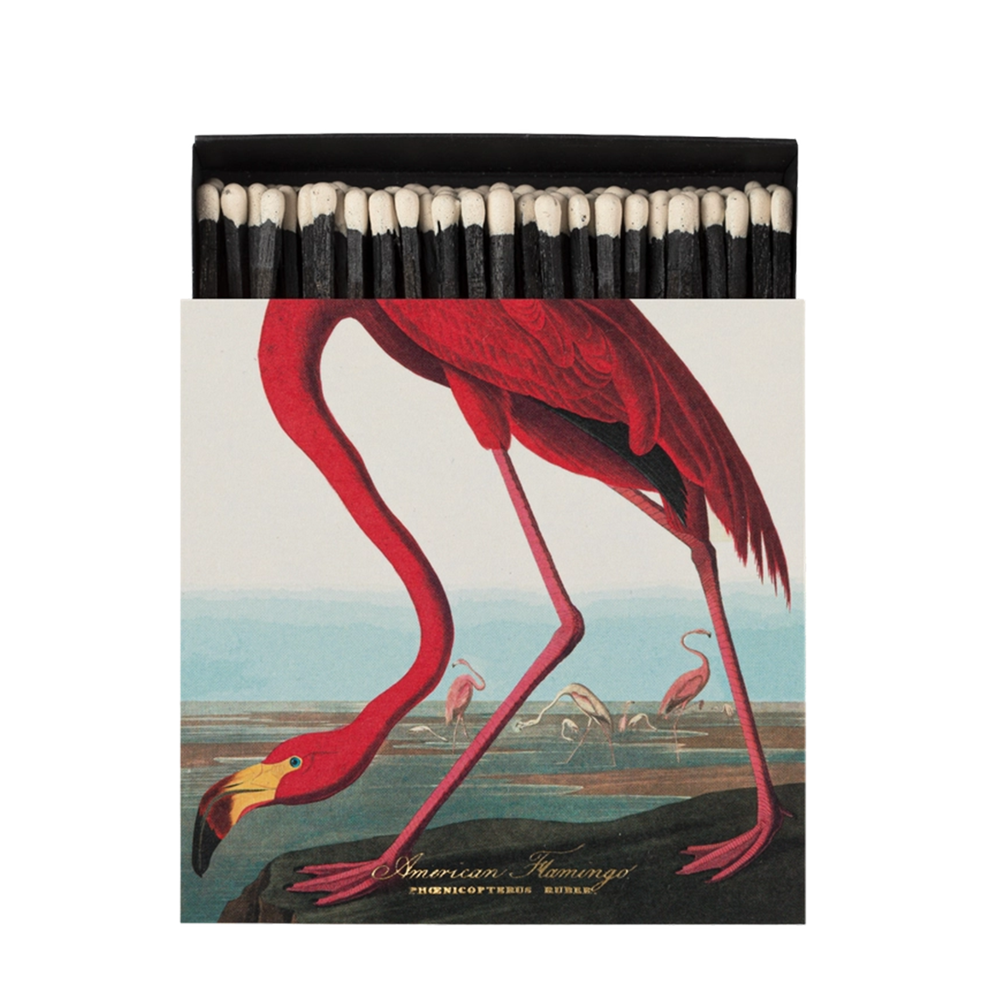 American Flamingo Matches