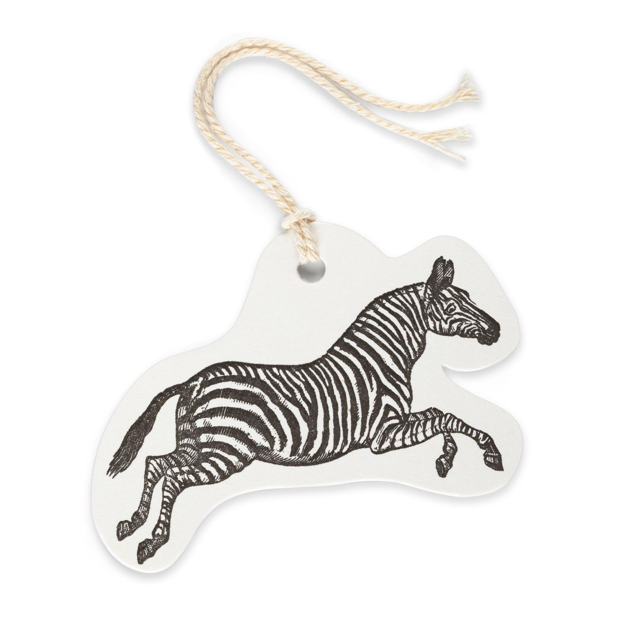 Zebra Gift Tag