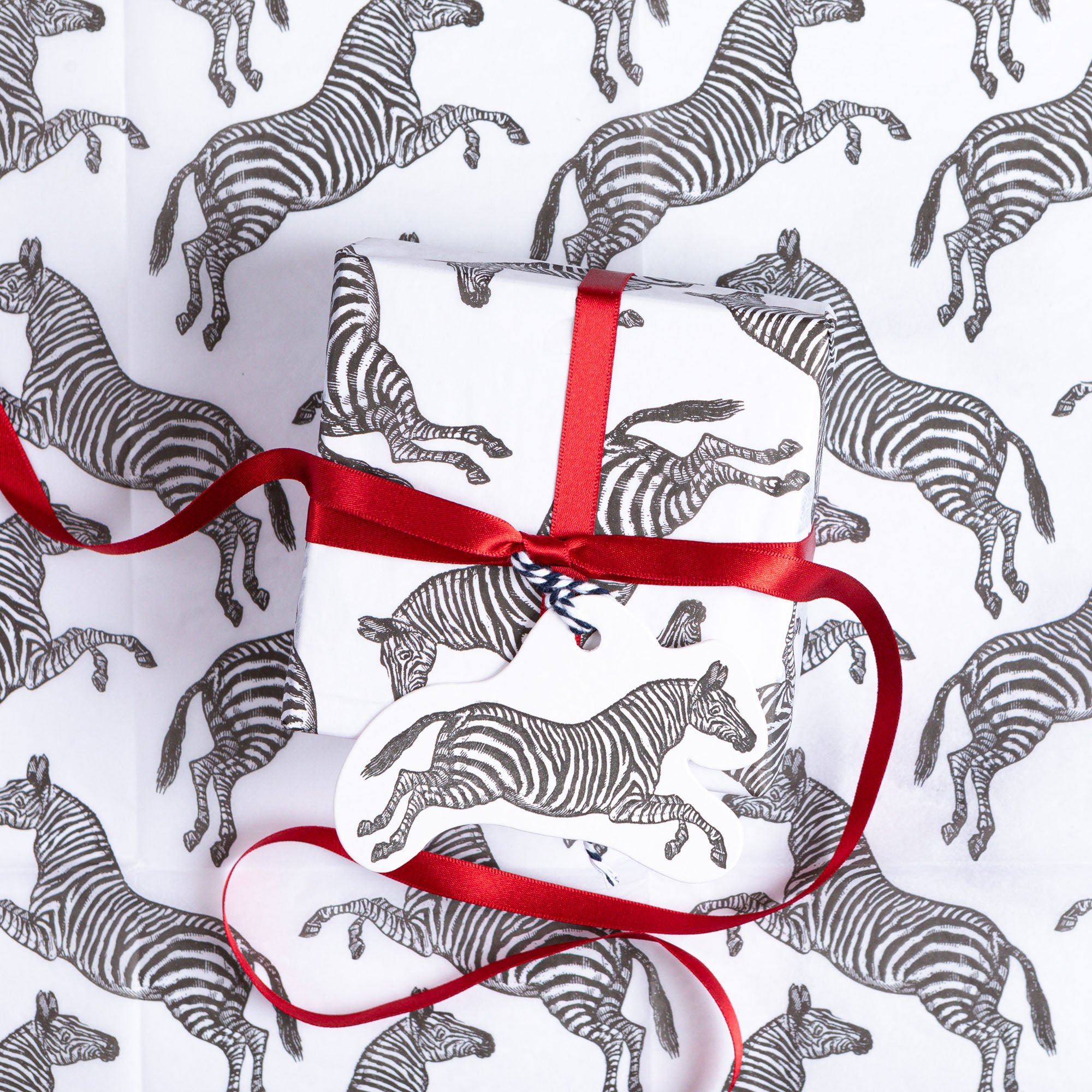 Zebra Gift Tag