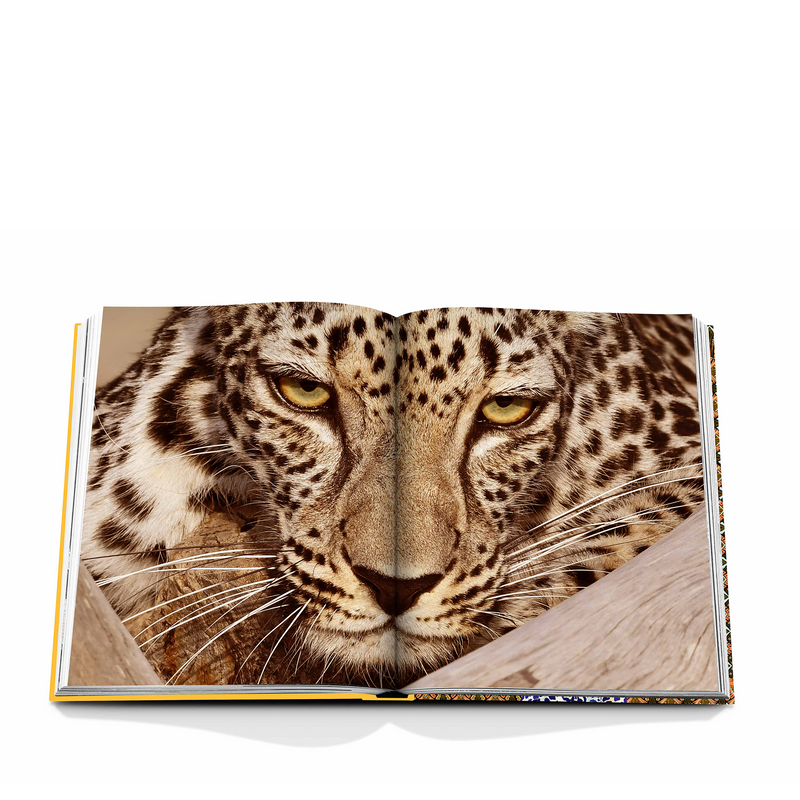 Book spread with captivating portrait of an Arabian Leopard.