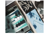 Backgammon
