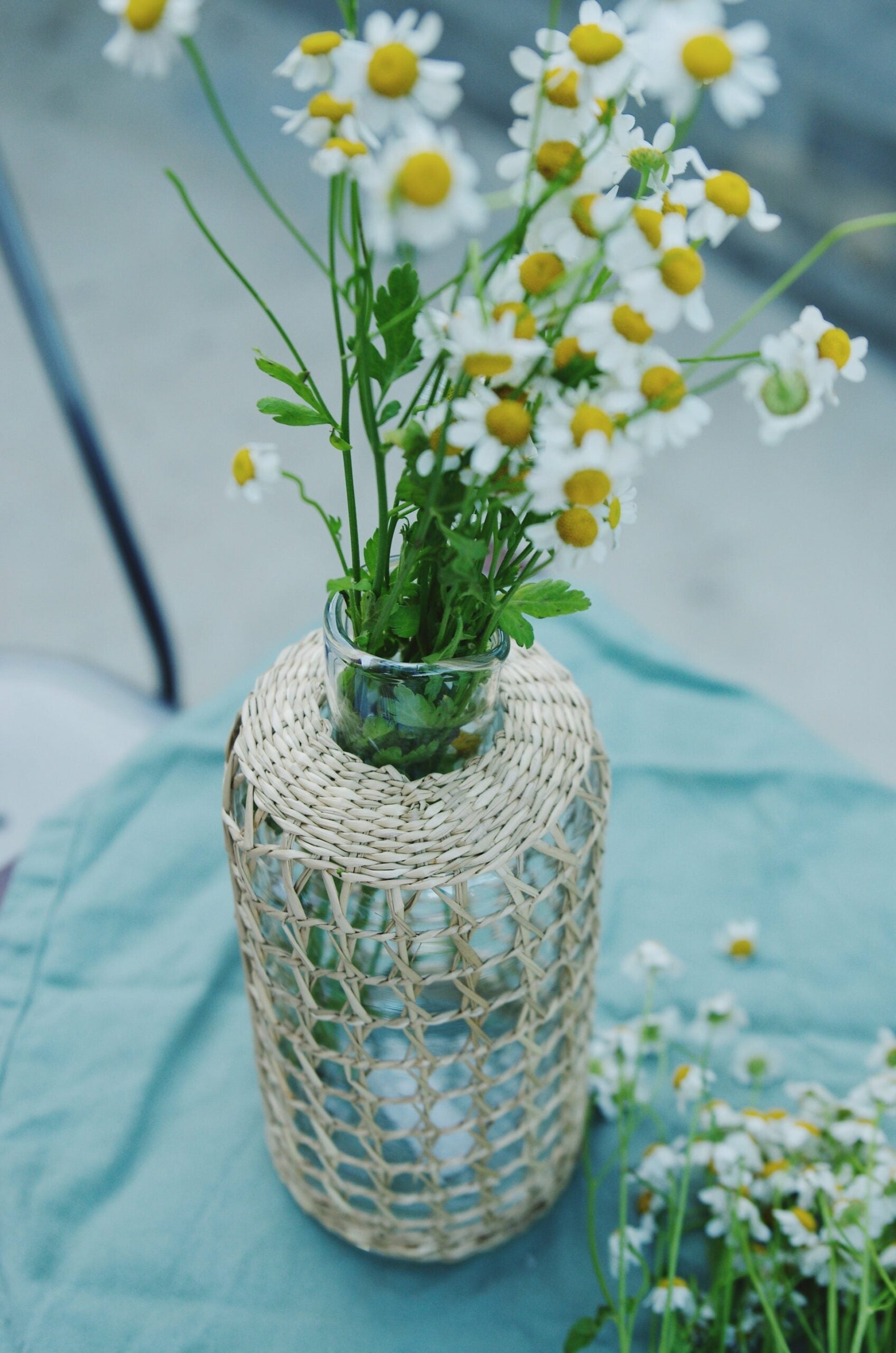 Seagrass Cage Carafe - Large