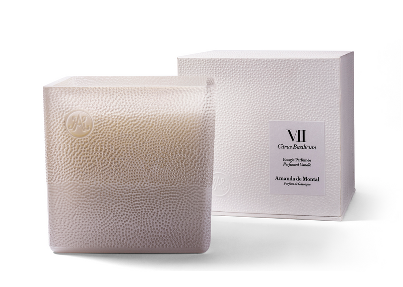 Candle - Citrus Basilicum (VII)