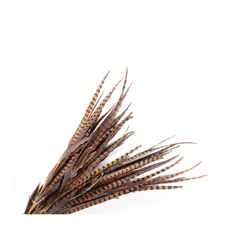 These pheasant feathers bring a touch of nature's elegance to your home. With their rich hues and intricate patterns, these feathers will make even ordinary interior captivating and unique.