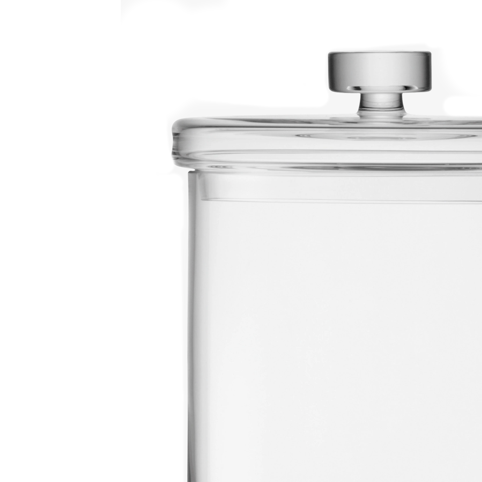 Maxi Container + Lid - Large