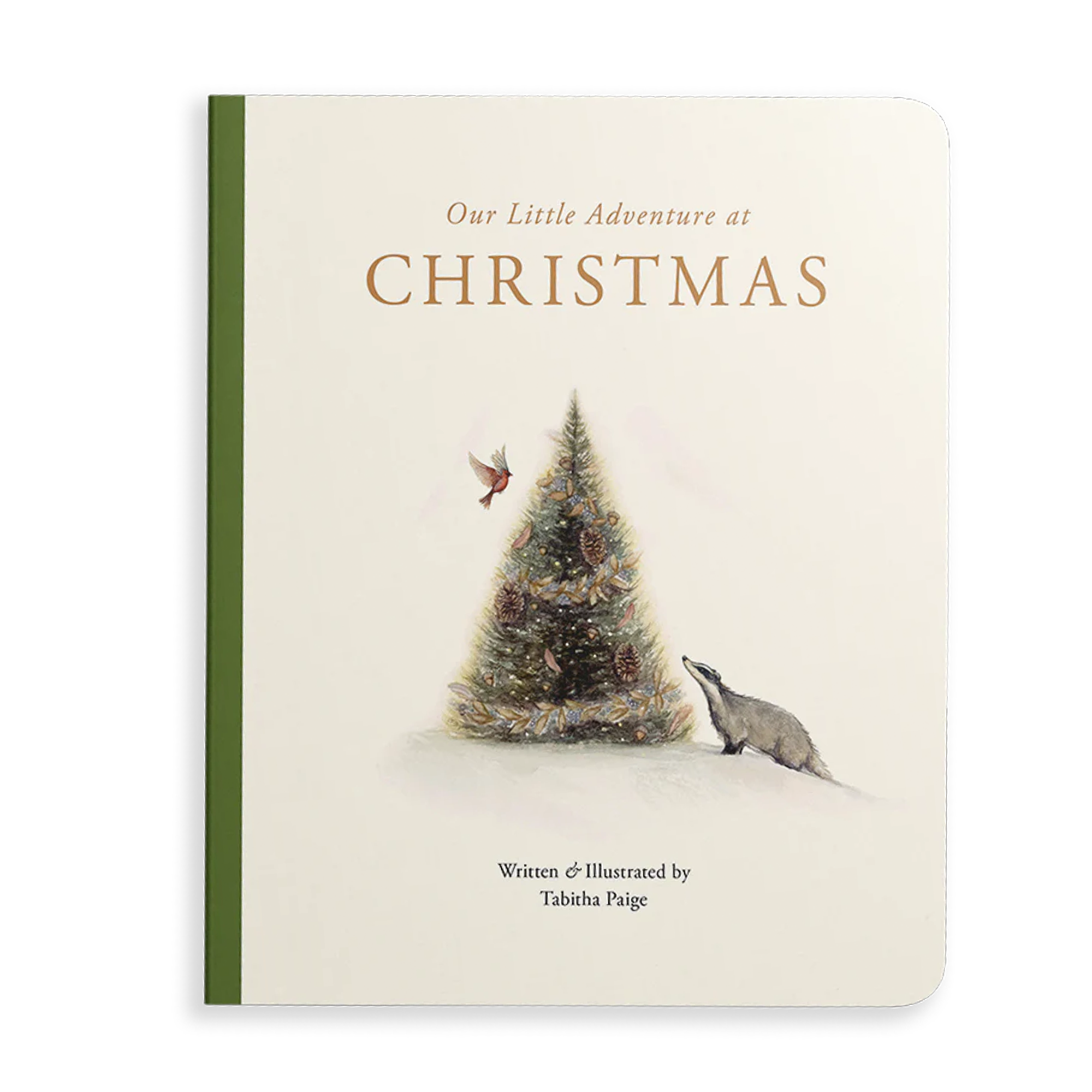 Our Little Adventure at Christmas