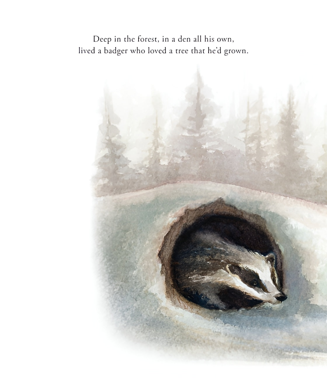 Our Little Adventure at Christmas