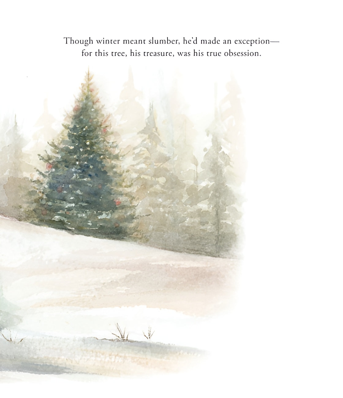 Our Little Adventure at Christmas