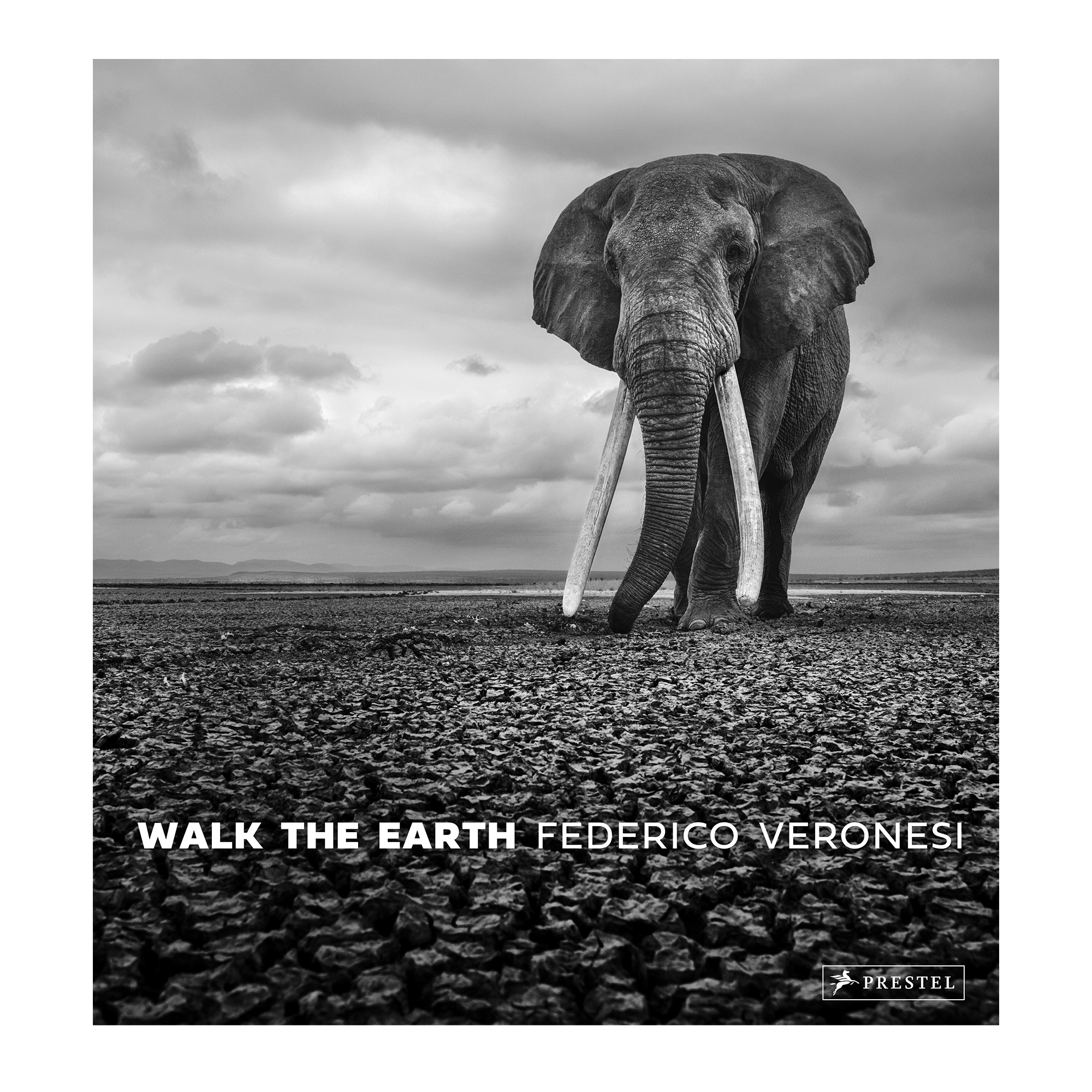 Walk The Earth