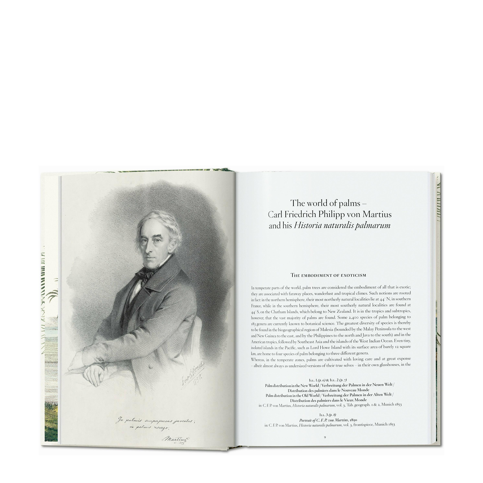 Martius. The Book of Palms