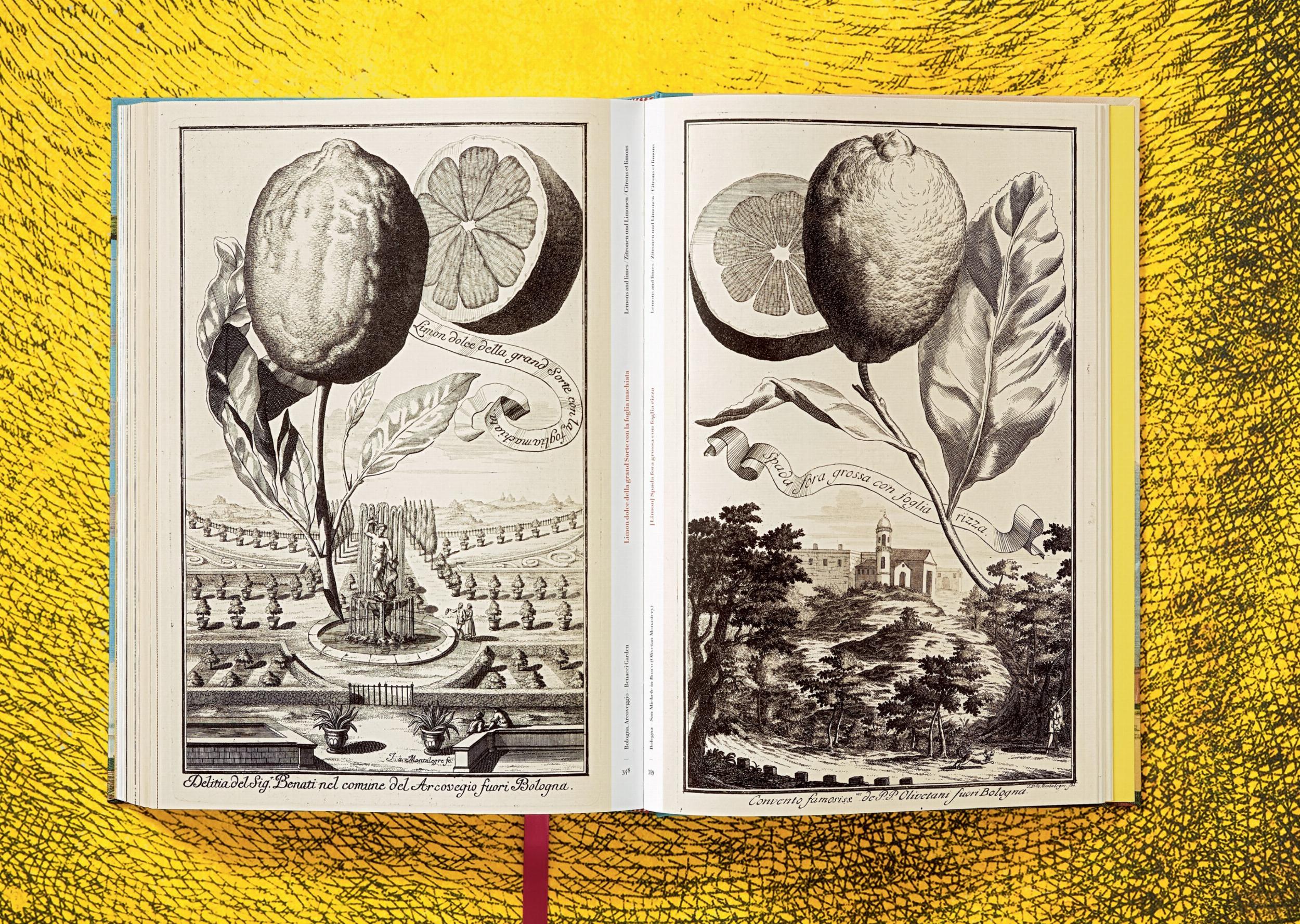 The Book of Citrus Fruits J. C. Volkamer