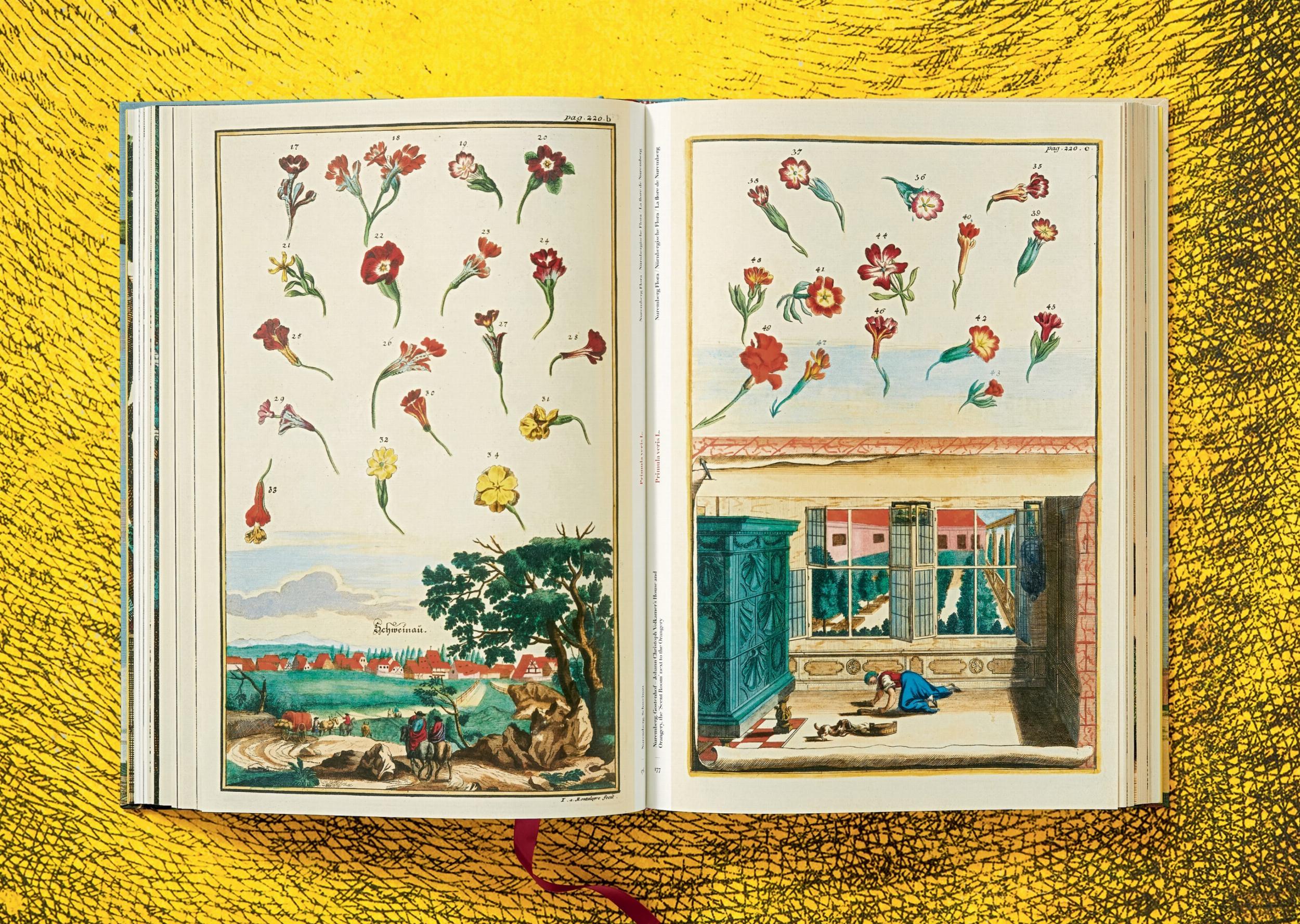 The Book of Citrus Fruits J. C. Volkamer