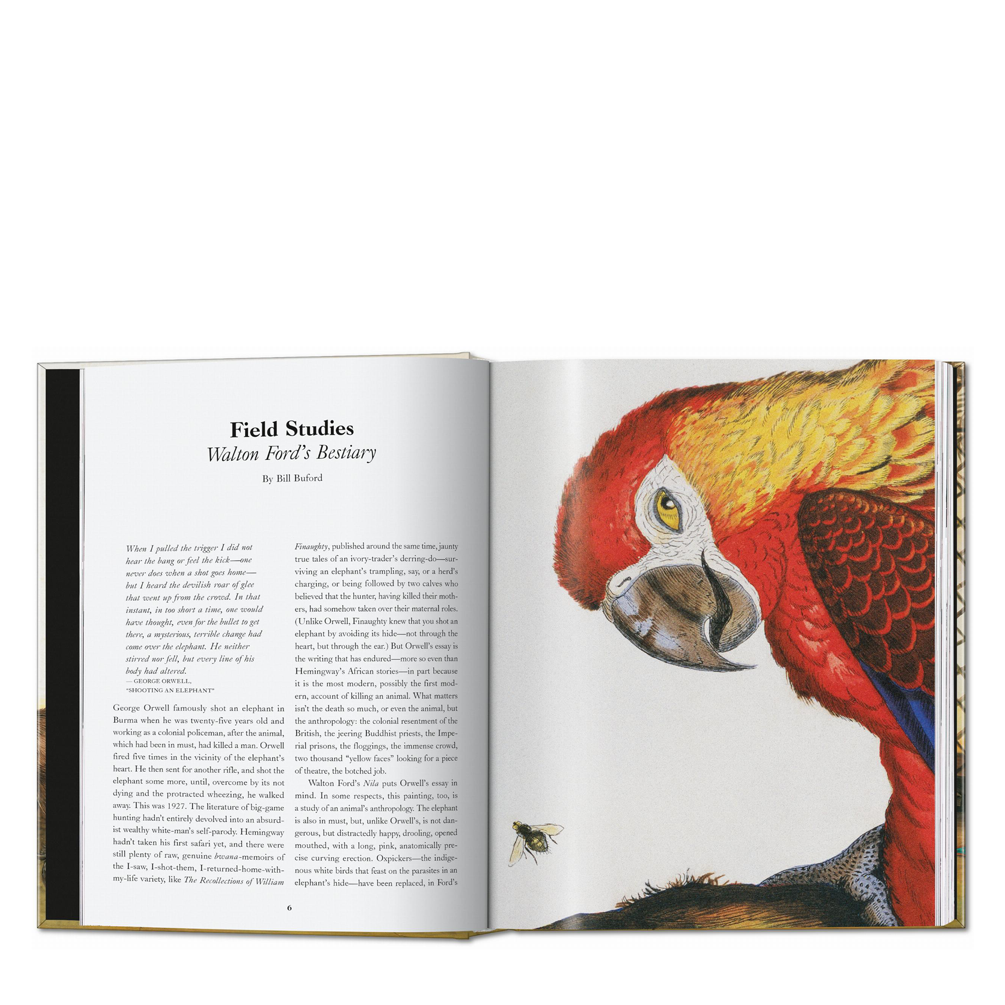 Walton Ford: Pancha Tantra