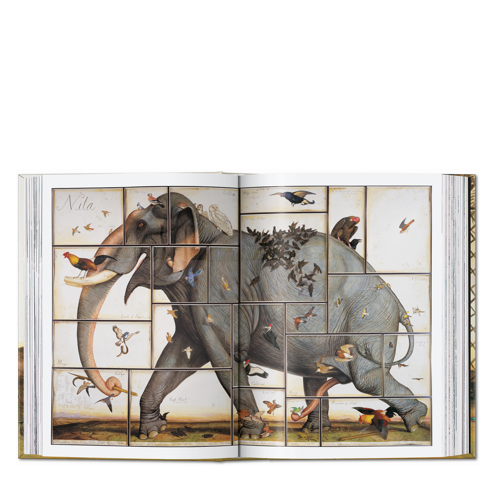 Walton Ford: Pancha Tantra