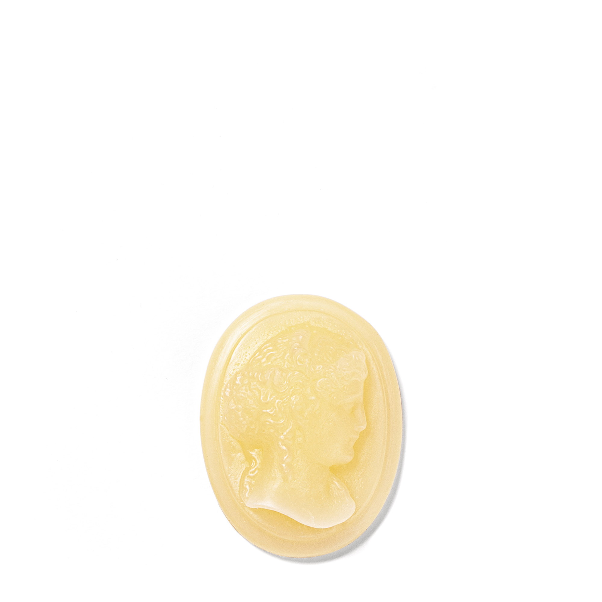 Cameo - Ernesto