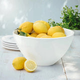 Grande Porcelain Nestable Bowls