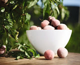 Grande Porcelain Nestable Bowls