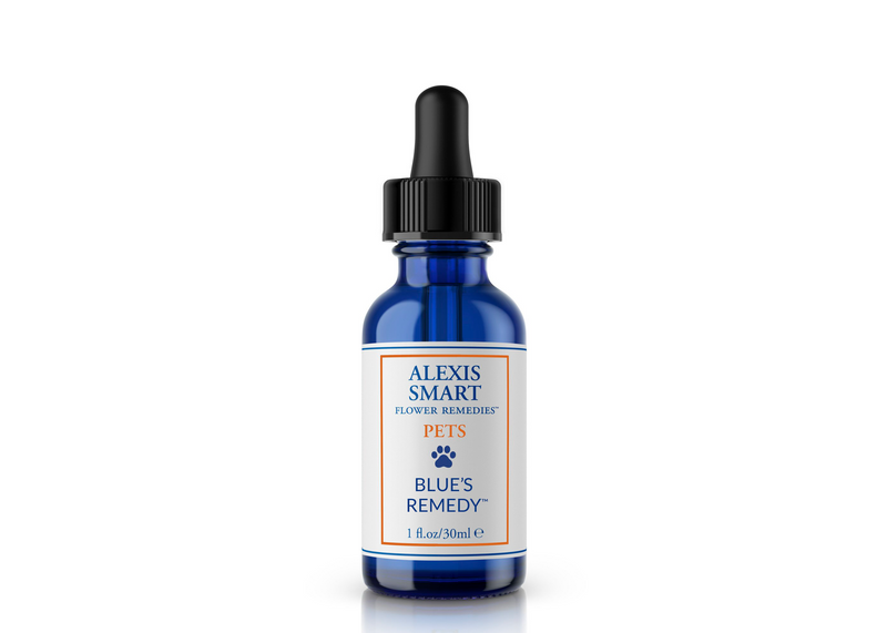 A 30 ml bottle of flower remedy made for pets with loss of appetite, illness or grief.