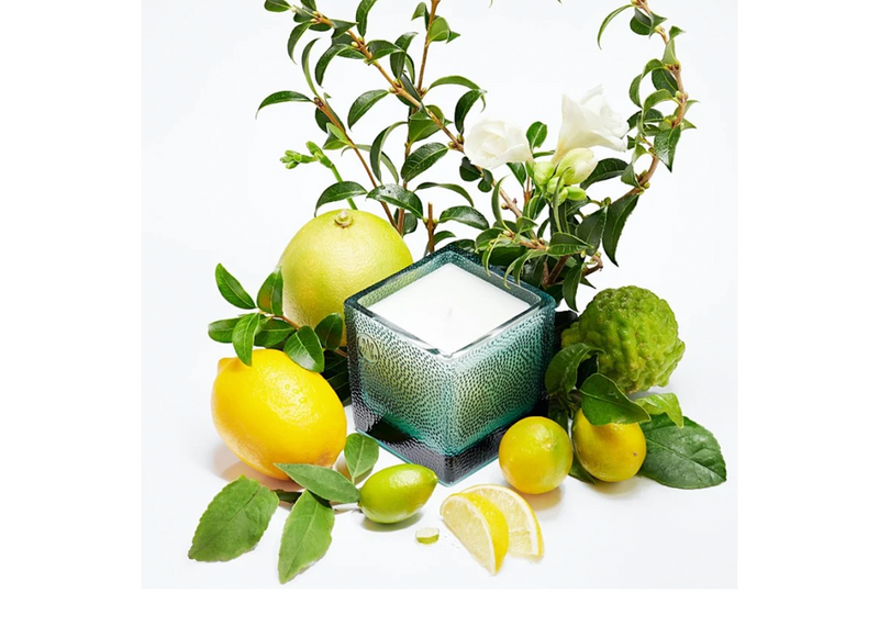 Candle - Thea Citrus Bergamia (VIII)