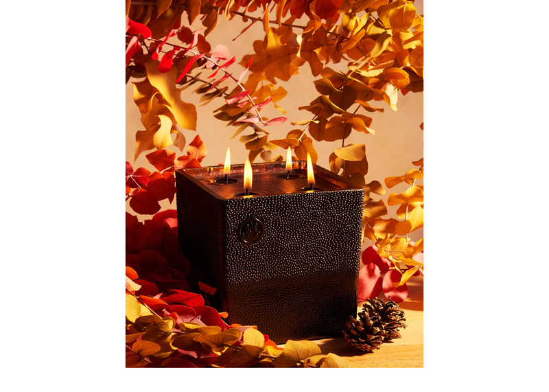 Candle -  Armagnac Ardente (LXXVII)