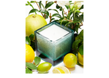 Candle - Thea Citrus Bergamia (VIII)