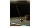 Agave Incense Holder - Satin Brass